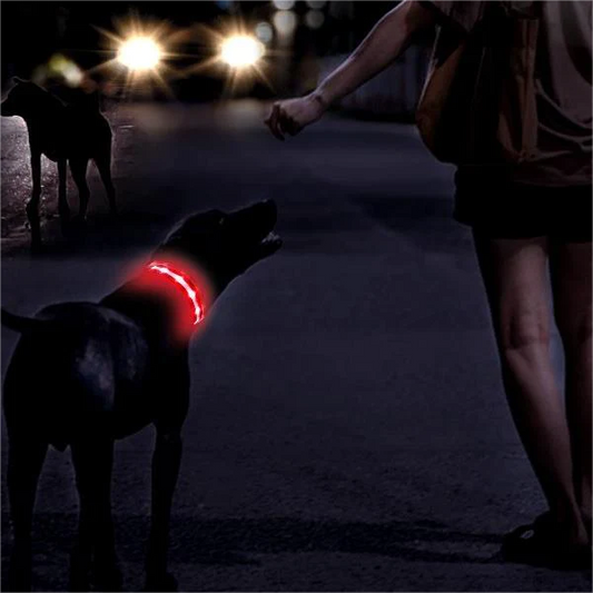 The Pethouse negative ion infrared pet electromagnetic physiotherapy collar.