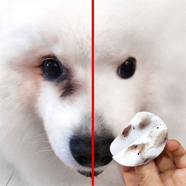 Pet Tear Stain Wipes 🔥【3 Day Delivery&Cash on delivery-HOT SALE-48%OFF🔥】